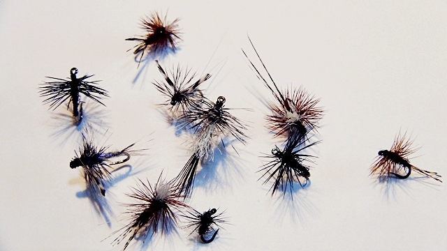 Midges-1-2-1