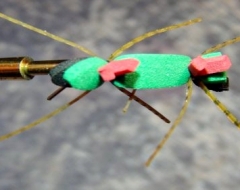 Tschernobyl Ant