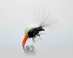CDC - Emerger