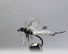 Eintagsfliege