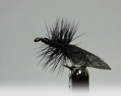 Eintagsfliege
