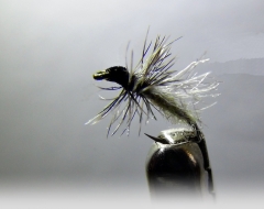 Eintagsfliege