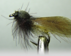 Köcherfliege