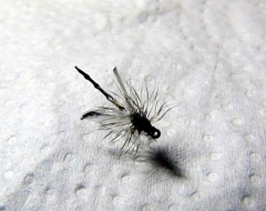 Midge