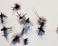Midges