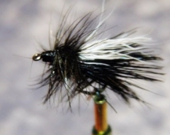 Rehhaar Sedge schwarz mit Sichthilfe