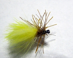 Yellow Sally mit Rehhaar und CDC