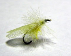 Yellow Sally mit CDC