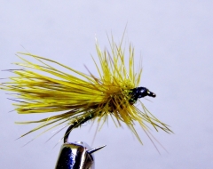 Yellow Sally mit Rehhaar