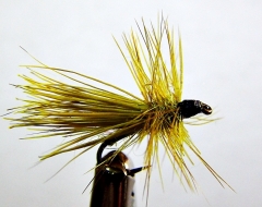 Yellow Sally mit Rehhaar