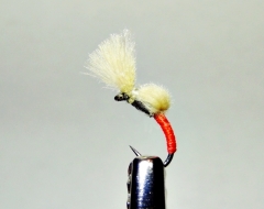 CDC-Emerger