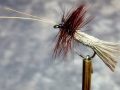 Goddard Caddis