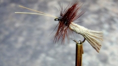 Goddard-Caddis