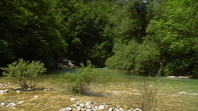 Sava Bohinjka