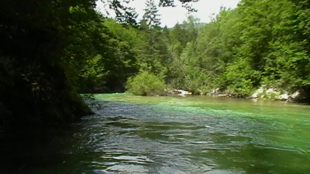 Sava Bohinjka