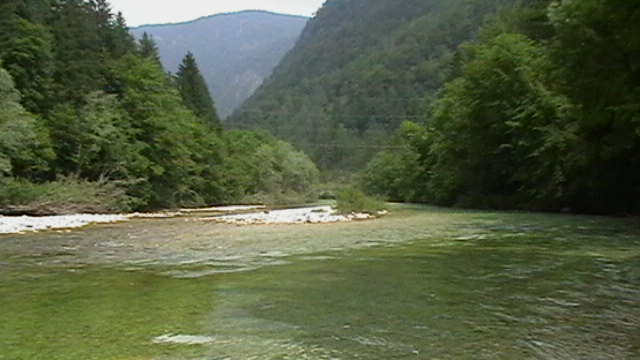 Sava Bohinjka