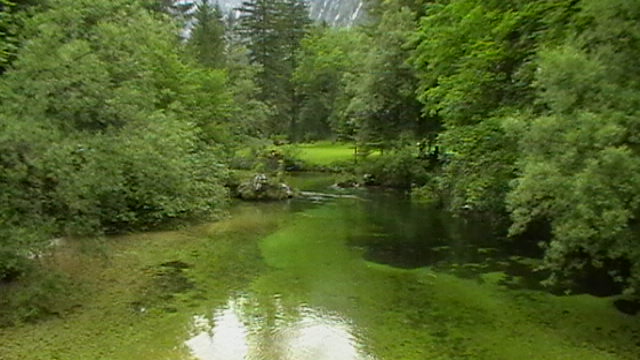 Sava Bohinjka