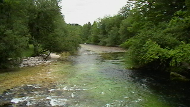 Sava Bohinjka