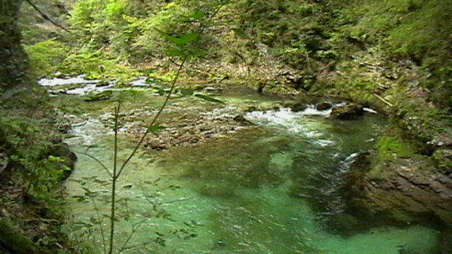 Vintgar Klamm