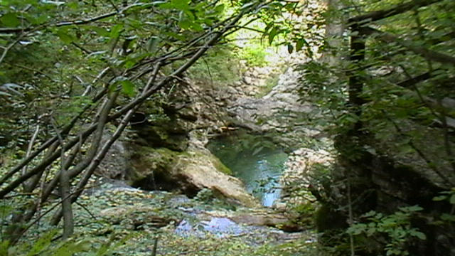 Vintgar Klamm in Slowenien