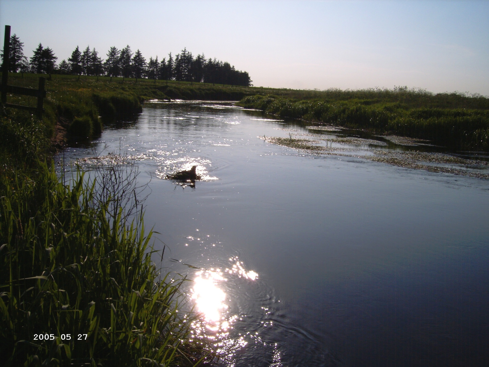 Abendstimmung am Wasser