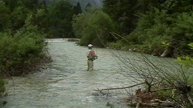 Hans in der Torrener Ache