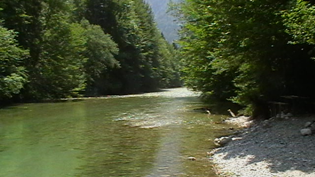 Zum Fliegenfischen an die Sava Bohinjka in Slowenien.