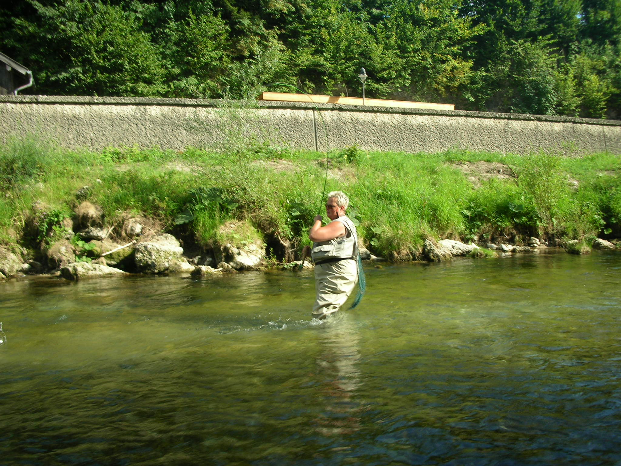 Bine beim Drillen in der weißen Traun