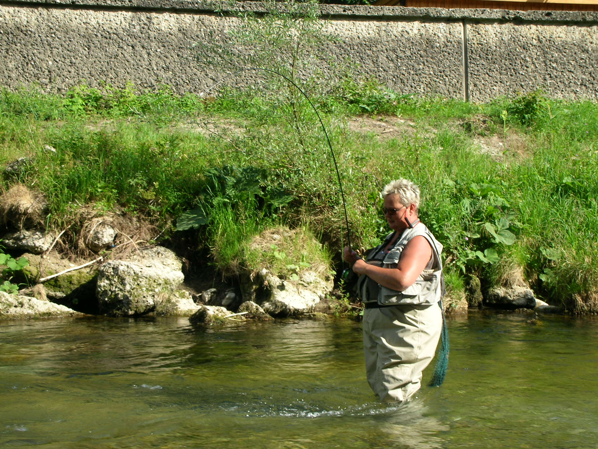 Bine beim Drillen in der weißen Traun