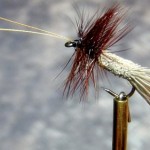 Goddard Caddis