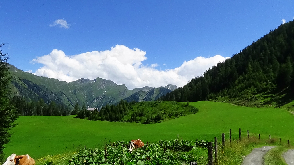 Hirschgruben Alm Landschaftsausblick