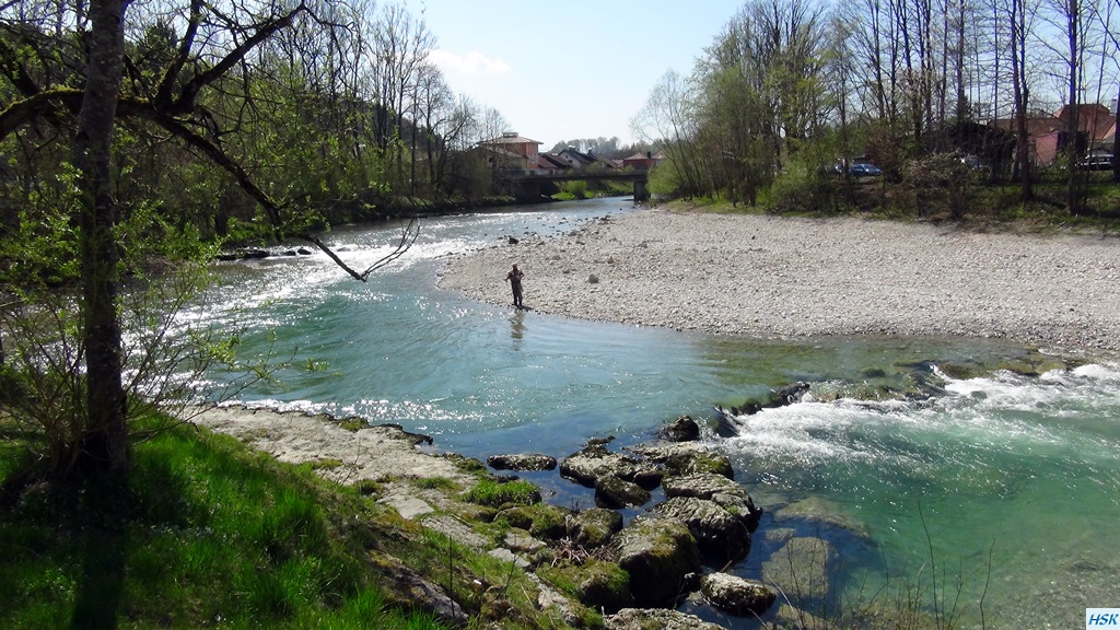 Fliegenfischen in der deutschen Traun im April 2015