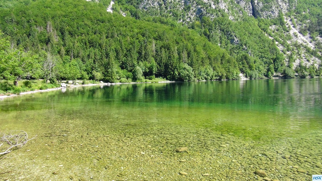 Bohinjsko Jezero, See in Slowenien im Juni 2015