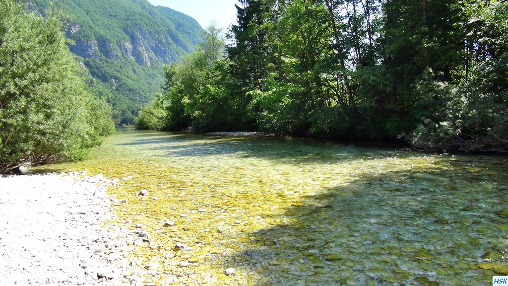 Fliegenfischen in der Sava Bohinjka im Juni 2015