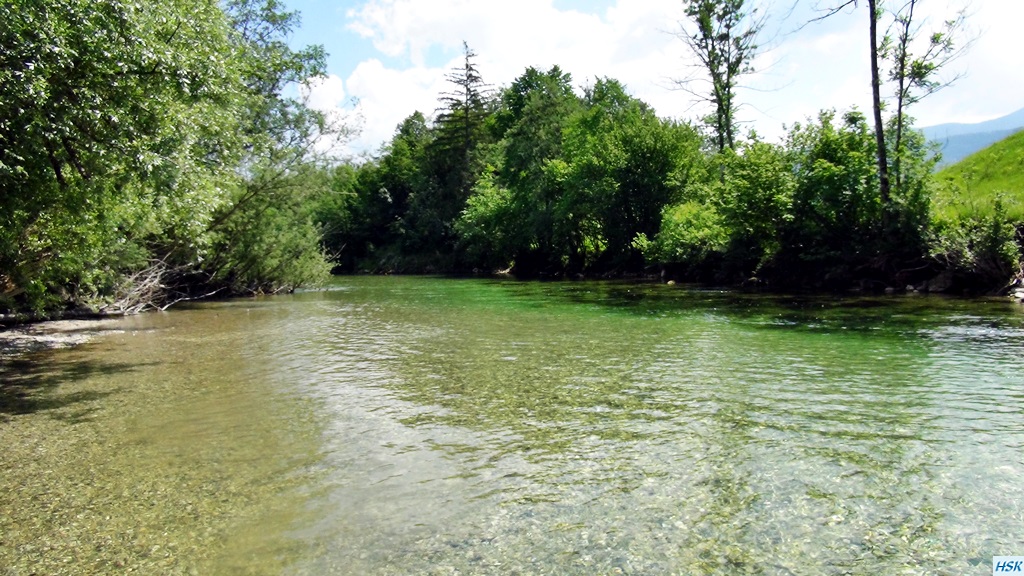 Fliegenfischen in der Sava Bohinjka im Juni 2015