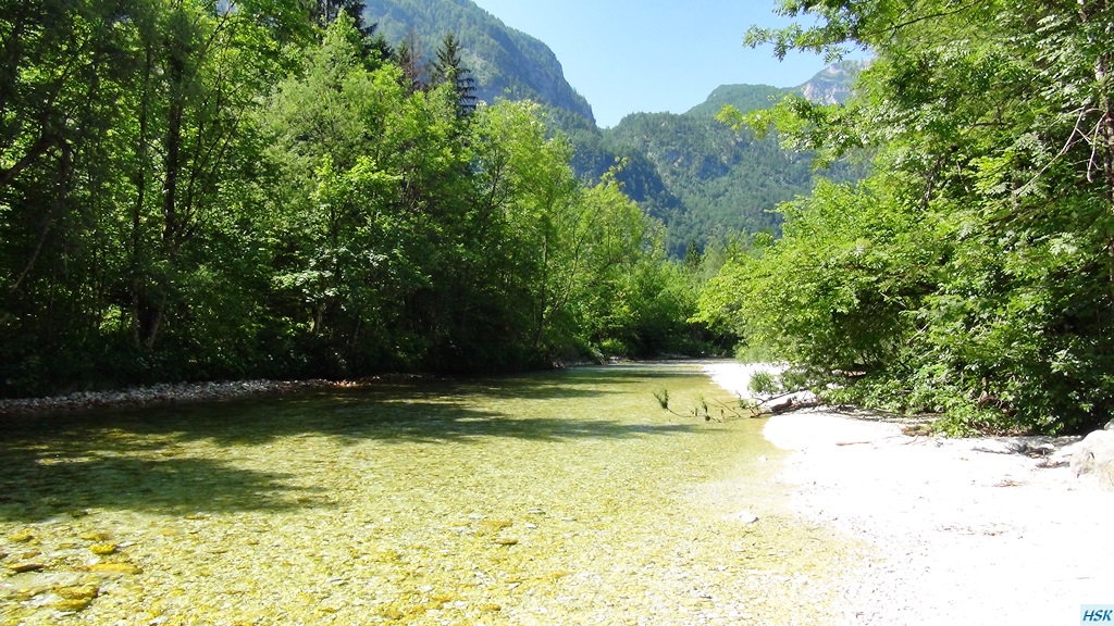 Fliegenfischen in der Sava Bohinjka im Juni 2015