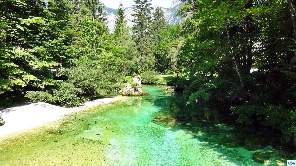 Fliegenfischen in der Sava Bohinjka im Juni 2015