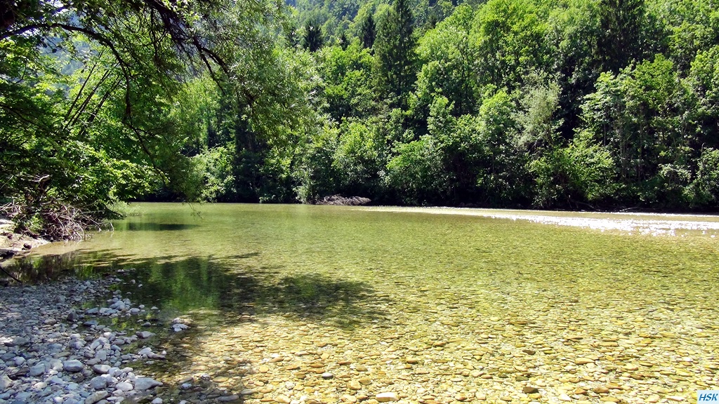 Fliegenfischen in der Sava Bohinjka im Juni 2015