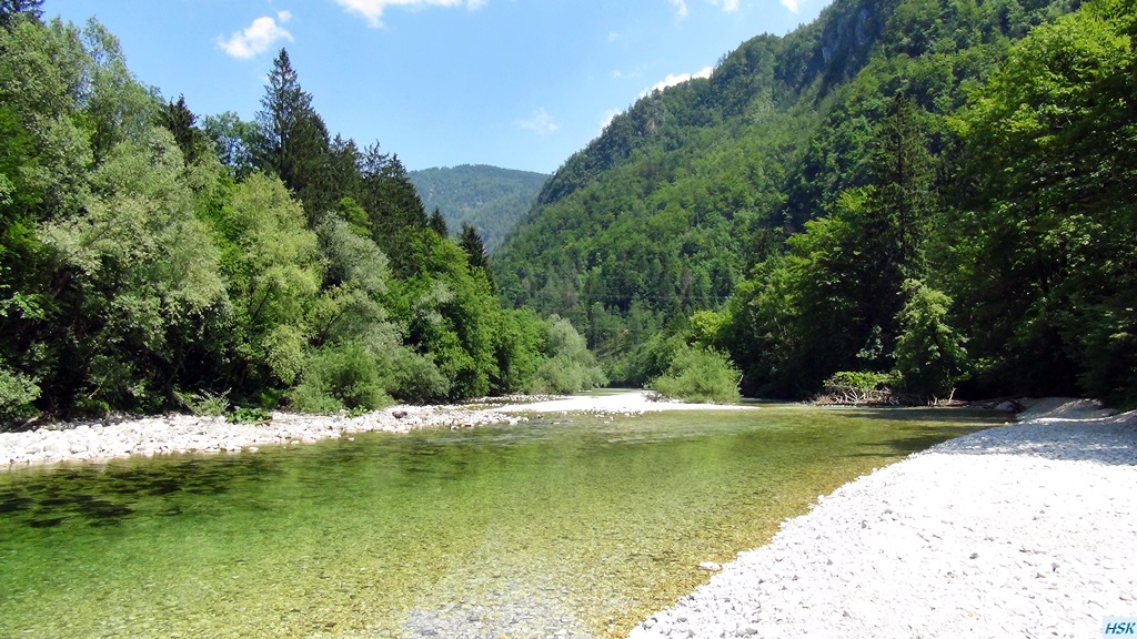 Fliegenfischen in der Sava Bohinjka im Juni 2015