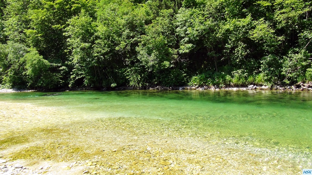 Fliegenfischen in der Sava Bohinjka im Juni 2015