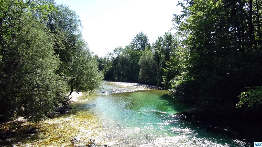 Fliegenfischen in der Sava Bohinjka im Juni 2015