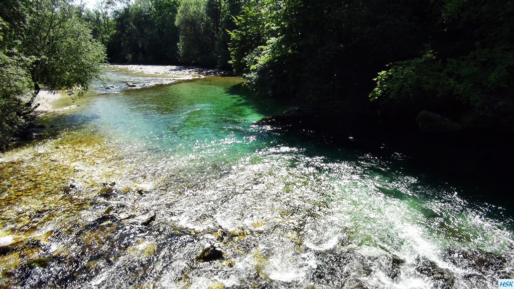 Fliegenfischen in der Sava Bohinjka im Juni 2015