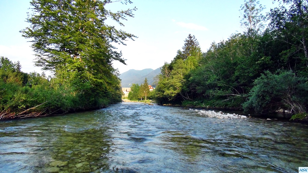 Fliegenfischen in der Sava Bohinjka im Juni 2015