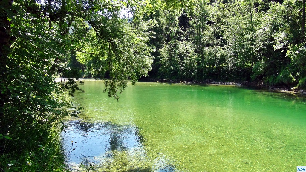 Fliegenfischen in der Sava Bohinjka im Juni 2015