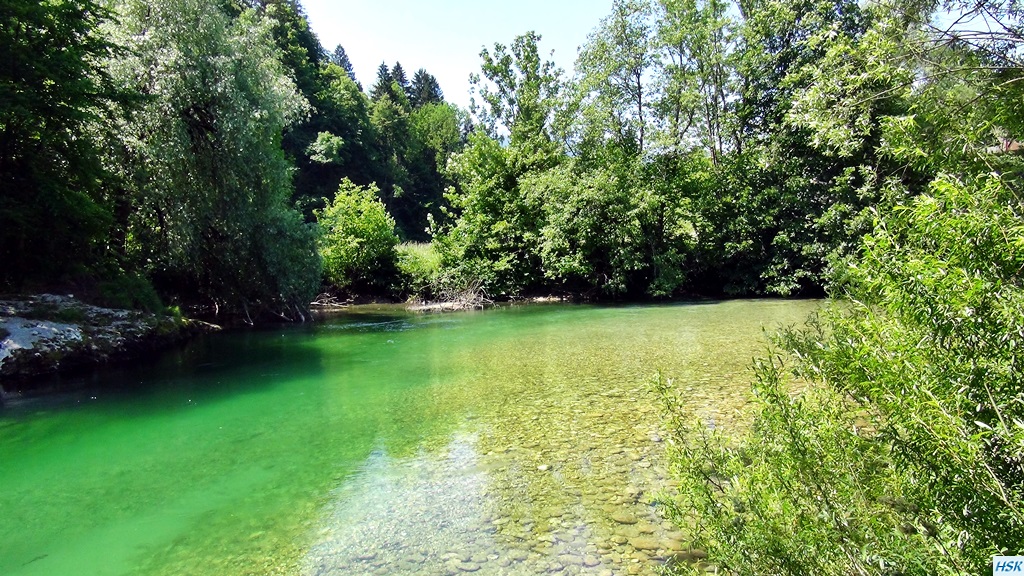 Fliegenfischen in der Sava Bohinjka im Juni 2015