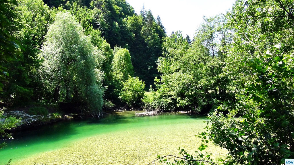 Fliegenfischen in der Sava Bohinjka im Juni 2015