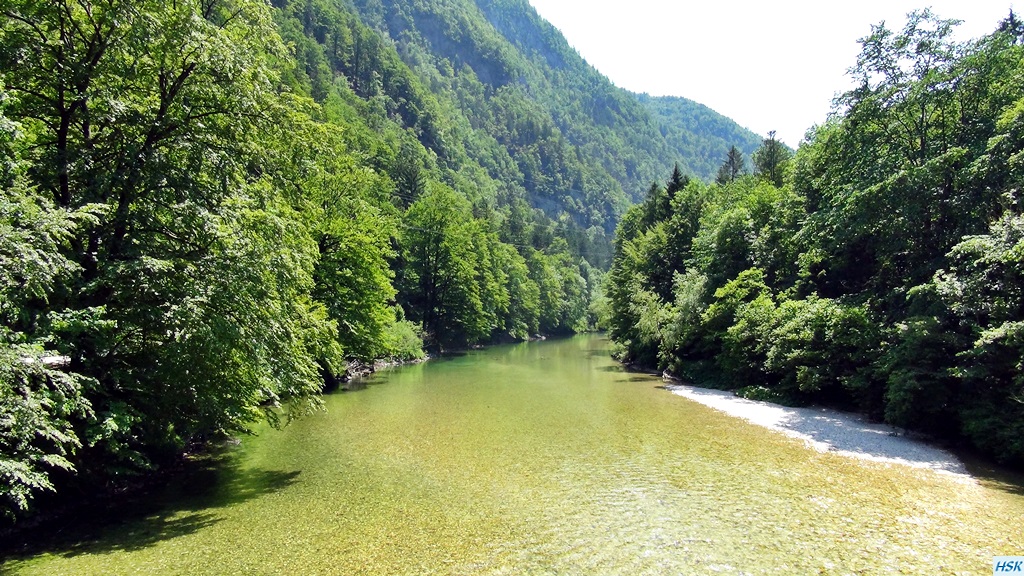 Fliegenfischen in der Sava Bohinjka im Juni 2015