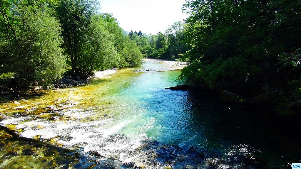 Fliegenfischen in der Sava Bohinjka im Juni 2015