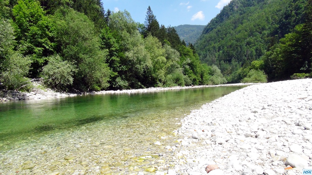 Fliegenfischen in der Sava Bohinjka im Juni 2015