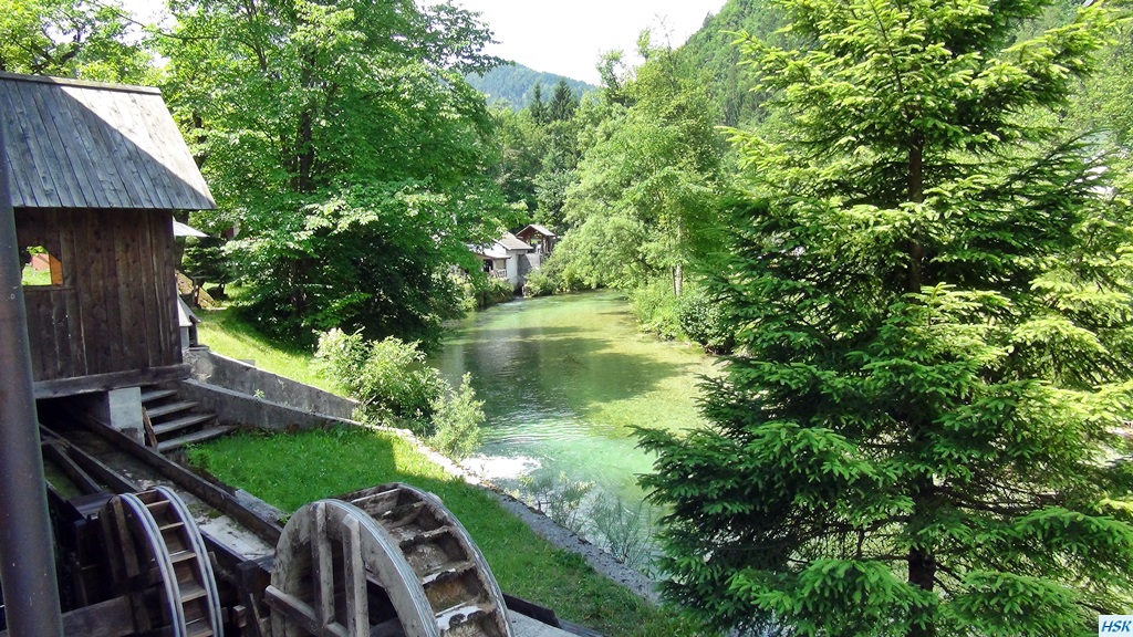 Fliegenfischen in der Radovna im Juni 2015